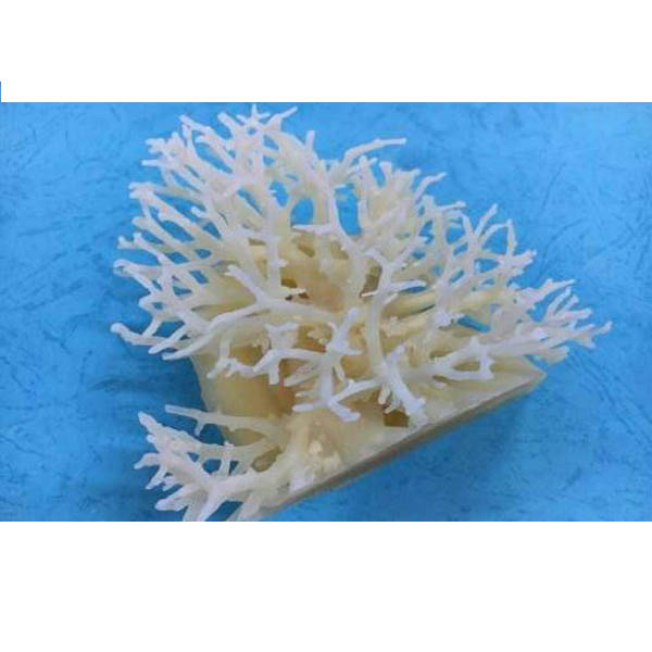 河南专业教育激光3D打印机价格